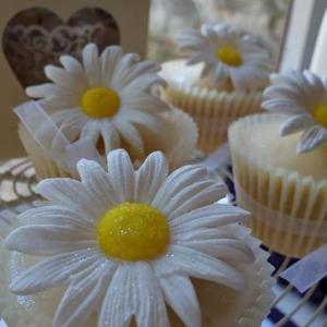 Daisy cupcakes