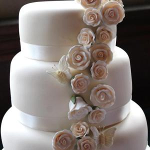 Cream roses