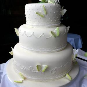 Lime rose and butterflies