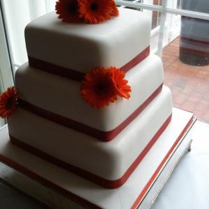 Orange gerbera